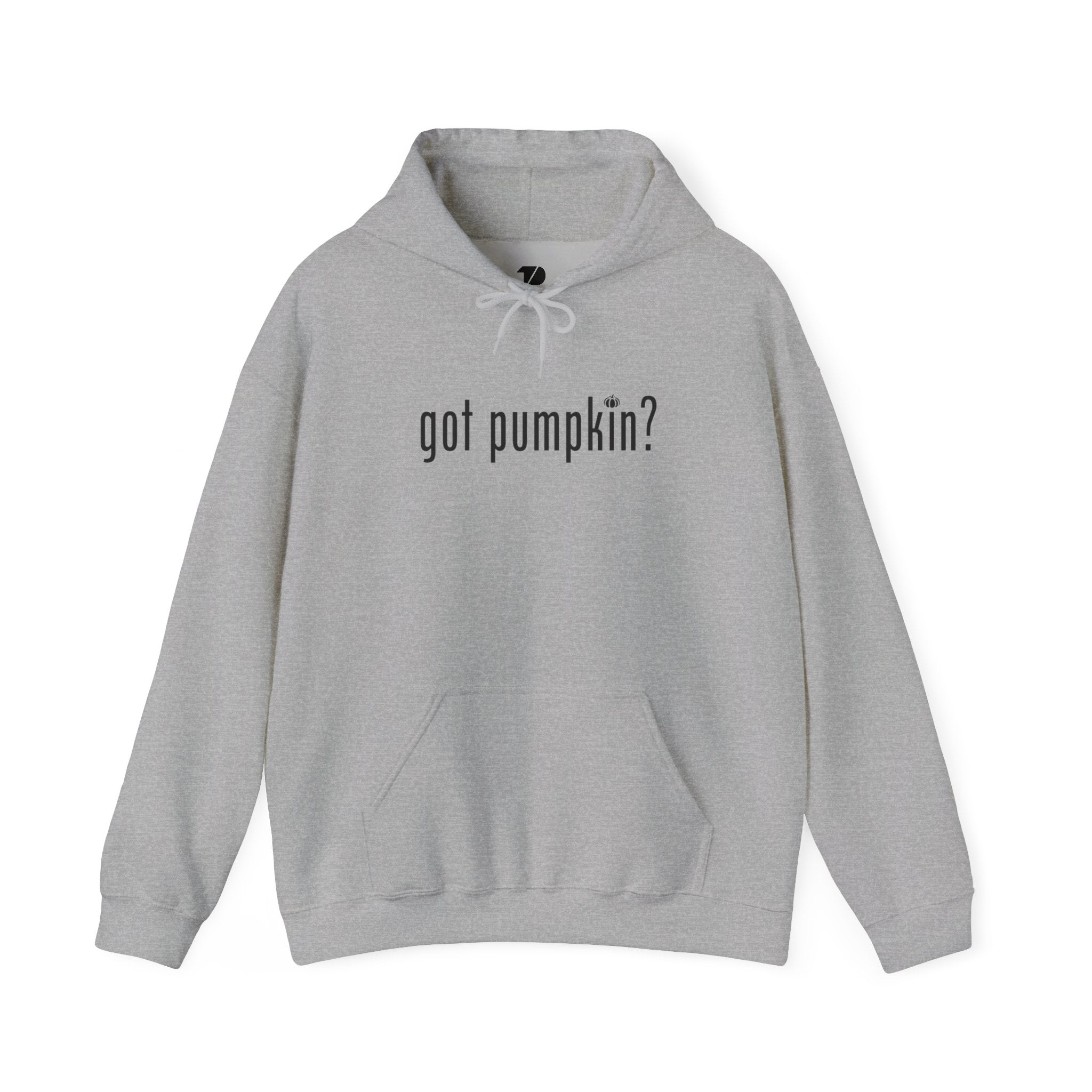 got pumpkin? - Unisex Heavy Blend™ Hooded Sweatshirt